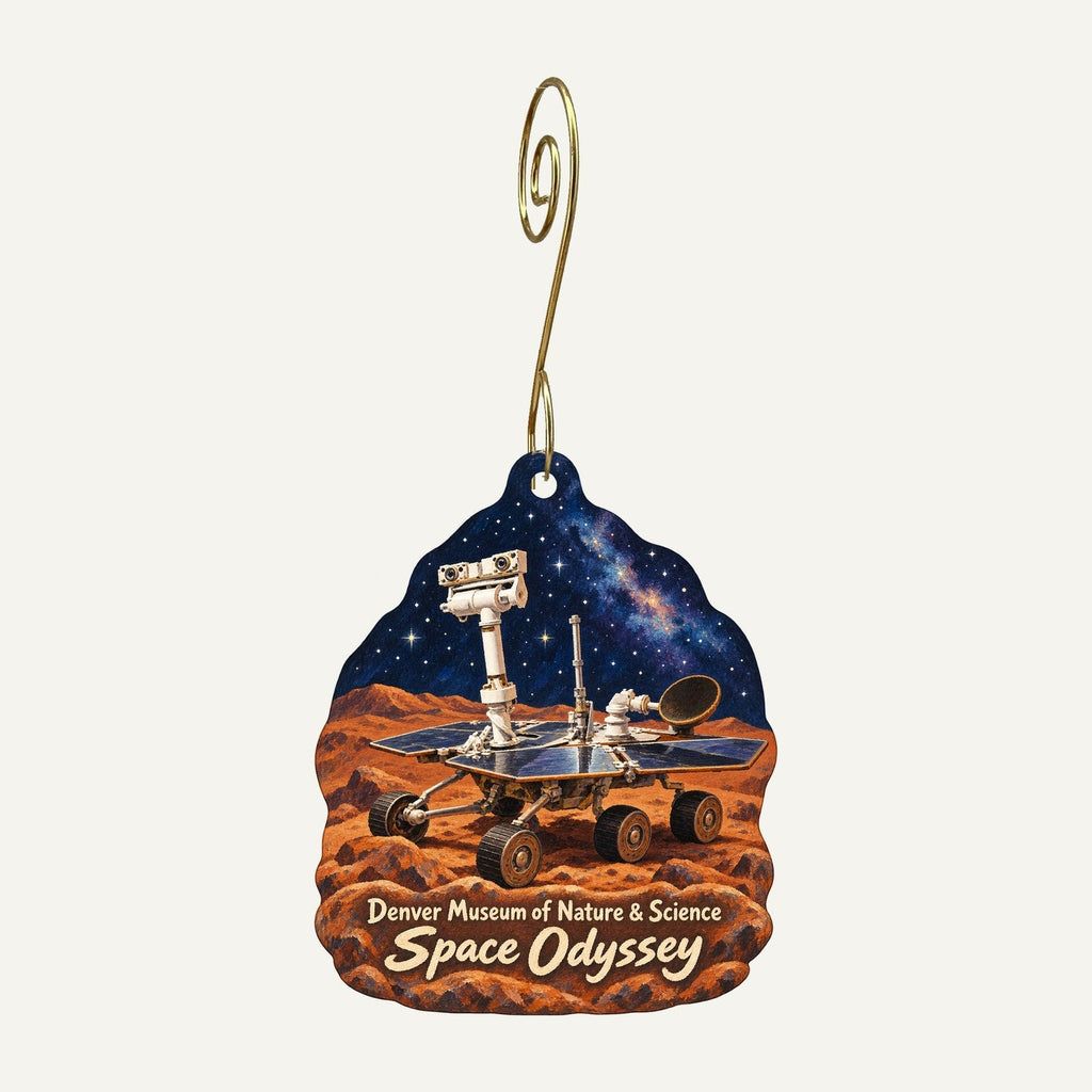 Museum Shop at the Denver Museum of Nature & Science Town Icon custom wood ornament OC163 hanging on hook