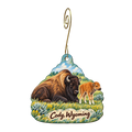 Buffalo Bill Village Gift Shop — Local inspiration custom wood ornament OC1645, photographic gold spiral hook