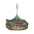 Trudy's Hallmark Store #88 — Local inspiration custom wood ornament OC1705, photographic gold spiral hook