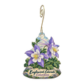 Trudy's Hallmark Store #103 — Local inspiration custom wood ornament OC1720, photographic gold spiral hook