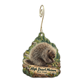 Silver Sage Trading — Local inspiration custom wood ornament OC1756, photographic gold spiral hook