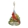 Baptist Health Louisville Gift Shop — Local inspiration custom wood ornament OC1903, photographic gold spiral hook