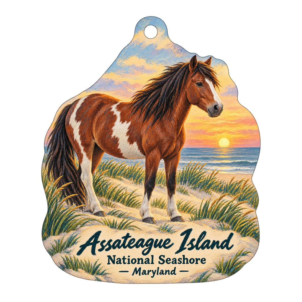 Assateague Island National Seashore Park Store Logo custom wood ornament OC191 on white
