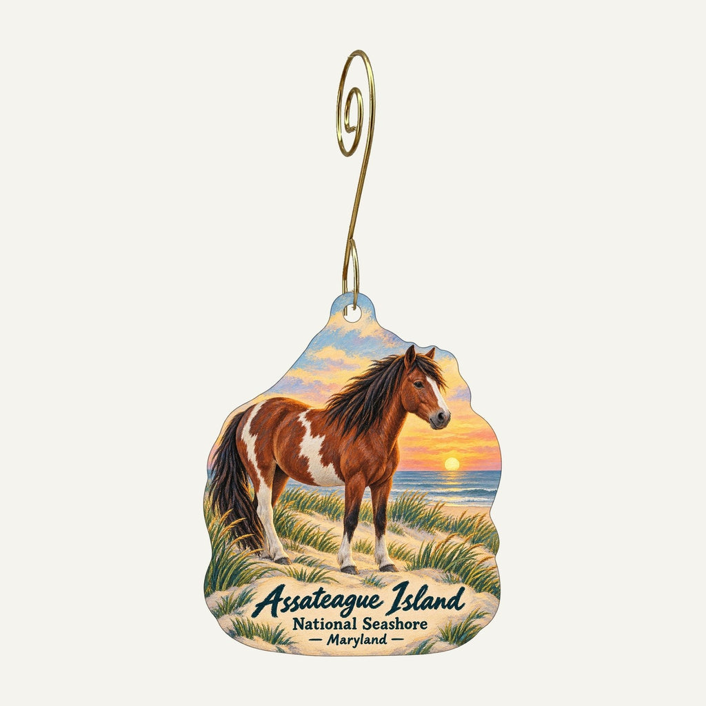 Assateague Island National Seashore Park Store Logo custom wood ornament OC191 hanging on hook