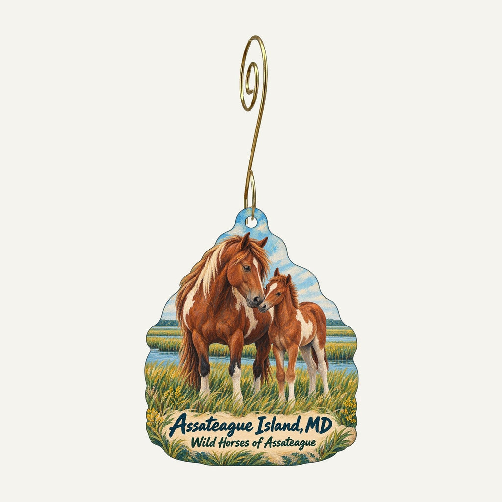 Assateague Island National Seashore Park Store Town Icon custom wood ornament OC193 hanging on hook