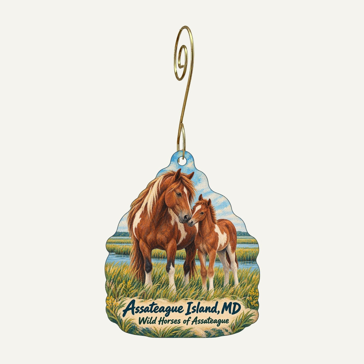 Assateague Island National Seashore Park Store Town Icon custom wood ornament OC193 hanging on hook