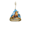 The Marine Mammal Center Gift Store — Store identity custom wood ornament OC2114, photographic gold spiral hook