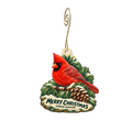Urban Birding Supply — Christmas custom wood ornament OC2382, photographic gold spiral hook