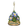 Phelan Gardens — Local inspiration custom wood ornament OC2470, photographic gold spiral hook