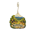 Paradise Hills, Winery Resort & Spa — Local inspiration custom wood ornament OC2577, photographic gold spiral hook
