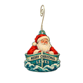 Cape Water Tours and Taxi — Christmas custom wood ornament OC2738, photographic gold spiral hook