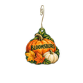 Althea's Imaginarium — Local inspiration custom wood ornament OC2766, photographic gold spiral hook
