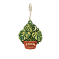 Luna Gifts & Botanicals — Store identity custom wood ornament OC2842, photographic gold spiral hook