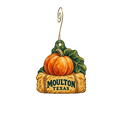Rocky Creek Maze — Local inspiration custom wood ornament OC2895, photographic gold spiral hook