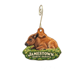 North American Bison Discovery Center — Local inspiration custom wood ornament OC2913, photographic gold spiral hook