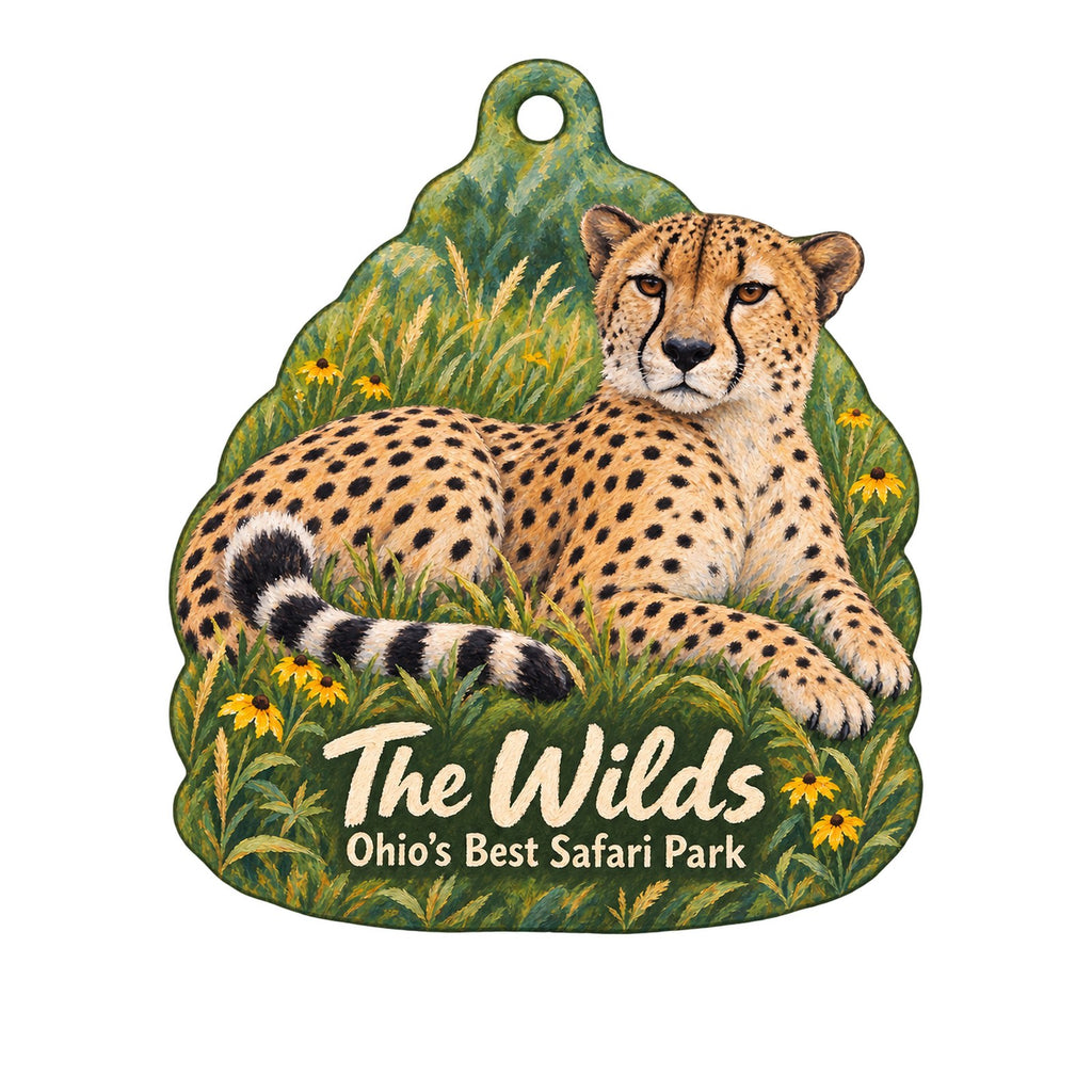 The Wilds Town Icon custom wood ornament OC685 on white