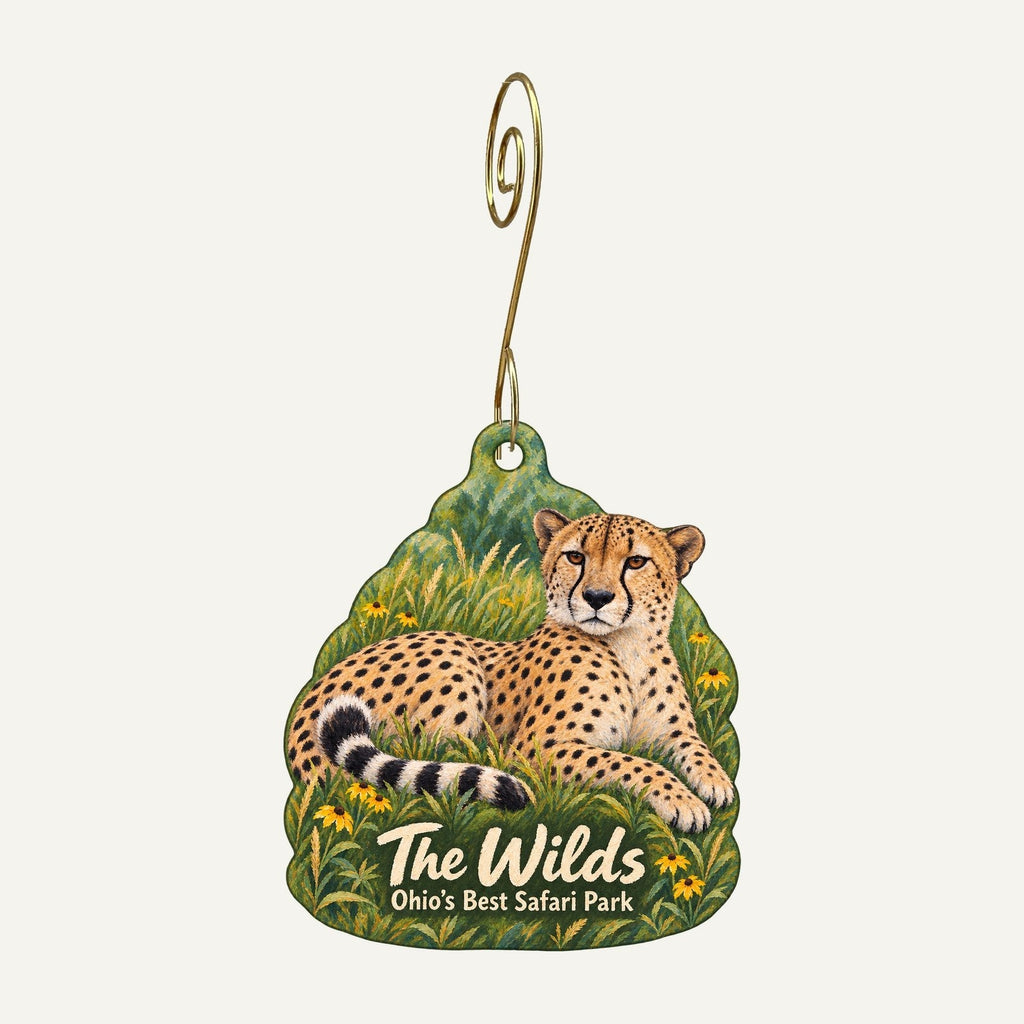 The Wilds Town Icon custom wood ornament OC685 hanging on hook