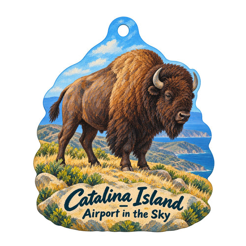 Airport in the Sky - DC-3 Gifts & Grill Town Icon custom wood ornament OC727 on white