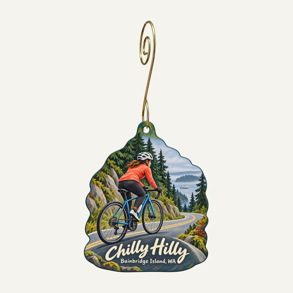 Eagle Harbor Book Co. Town Icon custom wood ornament OC745 hanging on hook