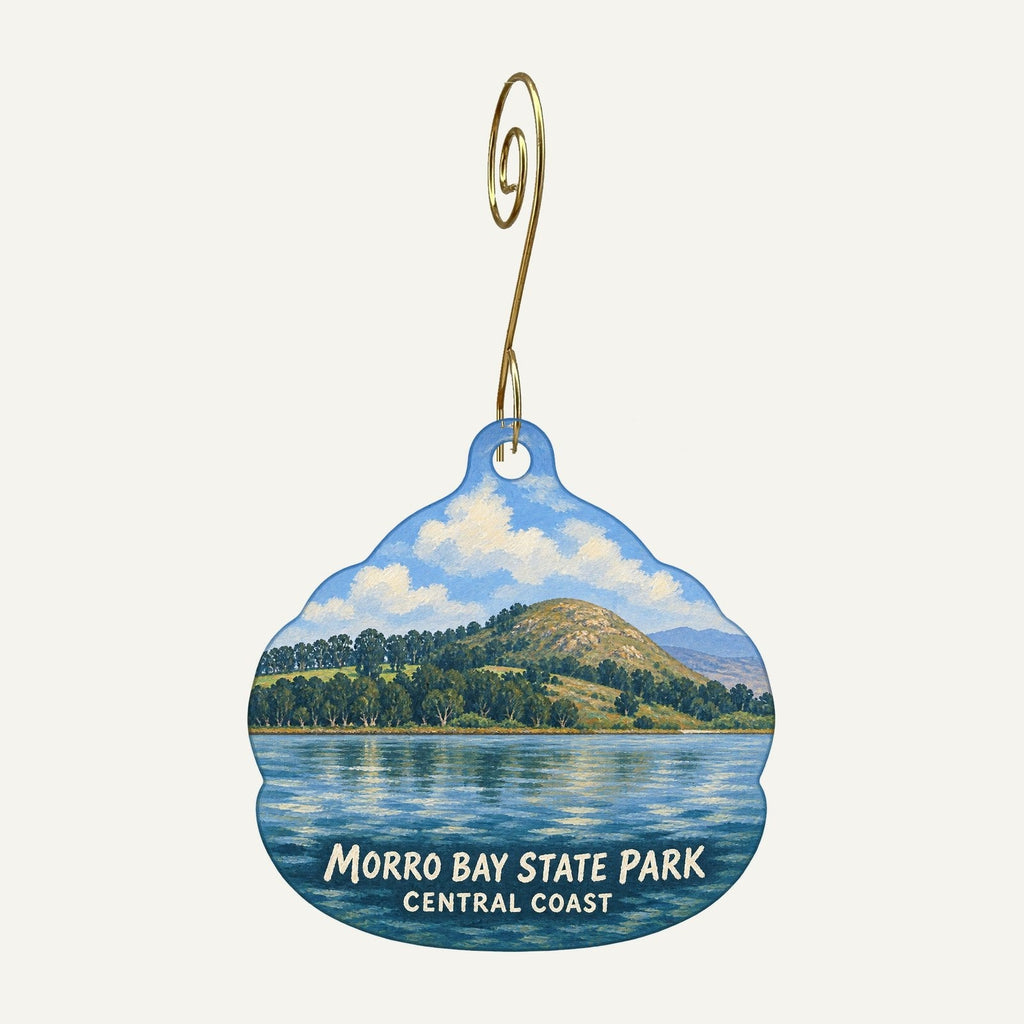 Central Coast State Parks Association Town Icon custom wood ornament OC838 hanging on hook
