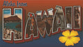 Hawaii State Jigsaw Puzzle - 144PCS - #S611