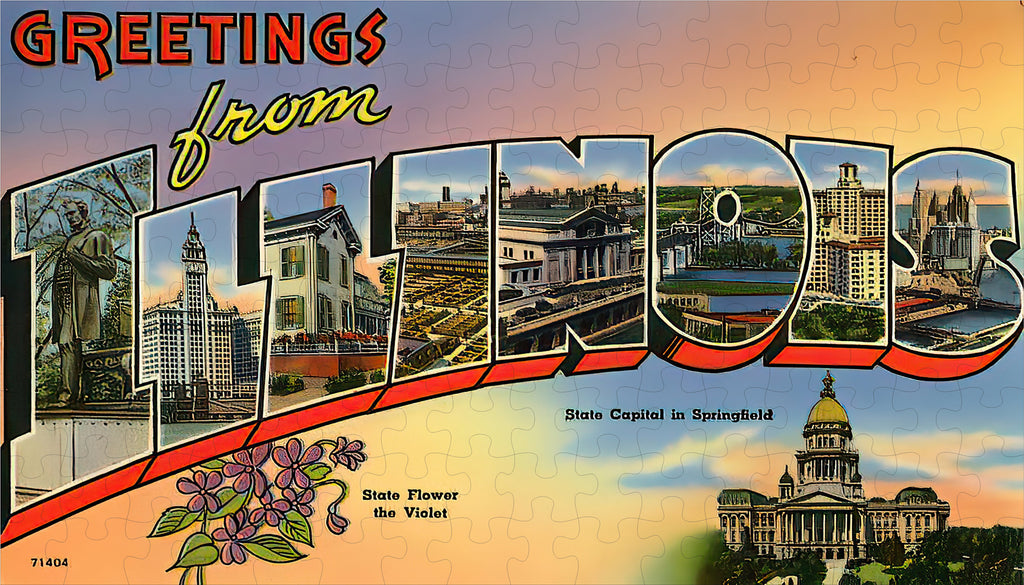 Illinois State Jigsaw Puzzle - 144PCS - #S613
