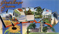 Kansas State Jigsaw Puzzle - 144PCS - #S616