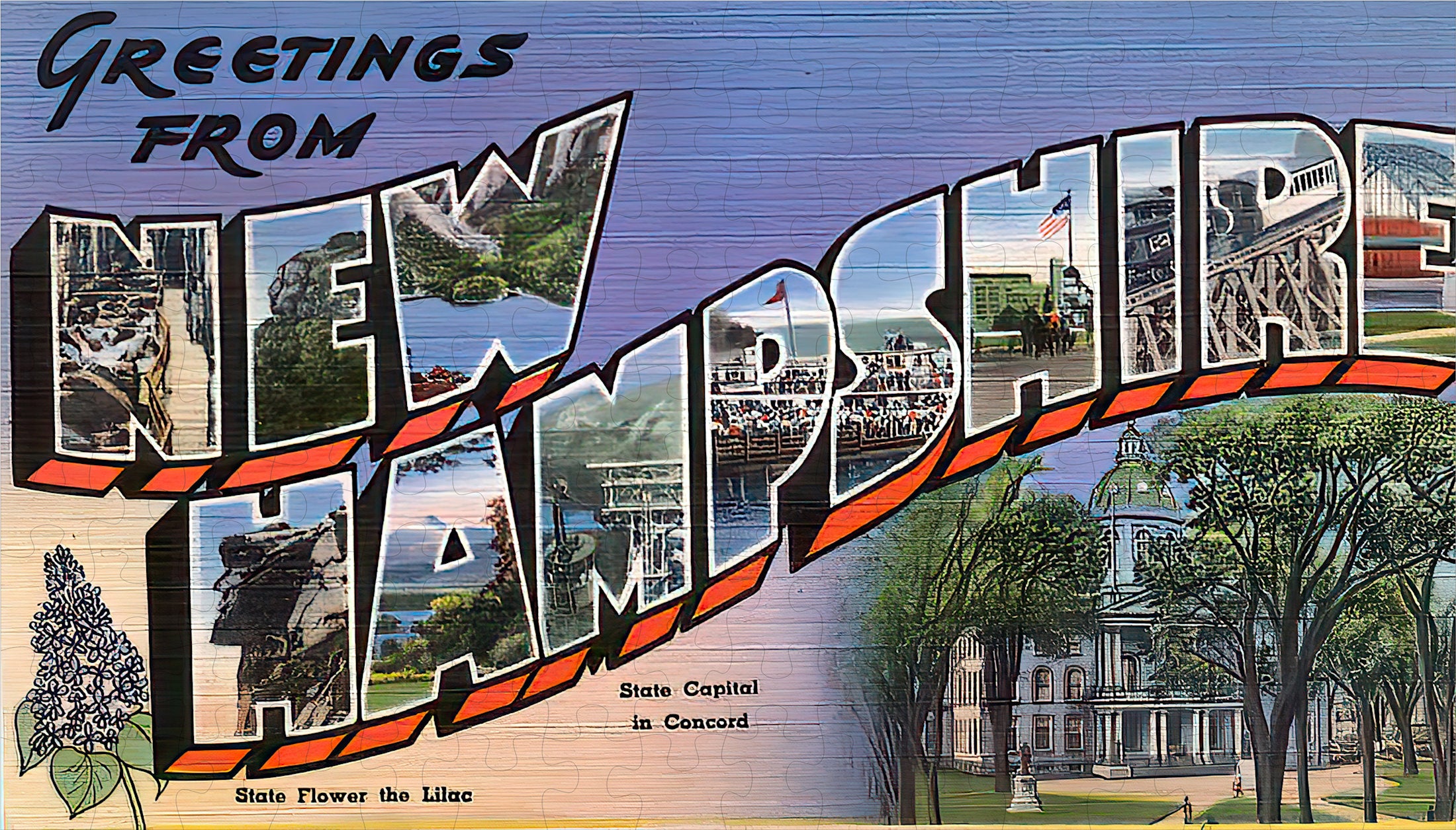 New Hampshire State Jigsaw Puzzle - 144PCS - #S629