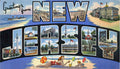 New Jersey State Jigsaw Puzzle - 144PCS - #S630