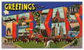 Texas State Jigsaw Puzzle - 144PCS - #S643