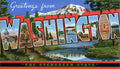 Washington State Jigsaw Puzzle - 144PCS - #S647