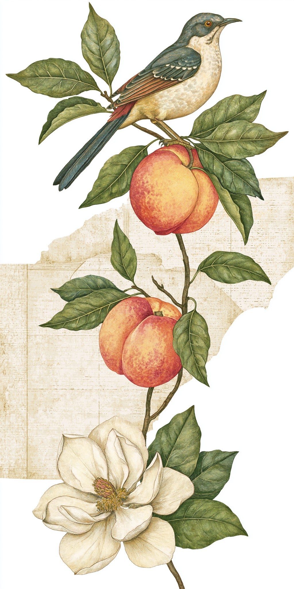 Peach Branch Bird — full design art