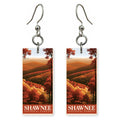 Illinois shawnee national forest earrings
