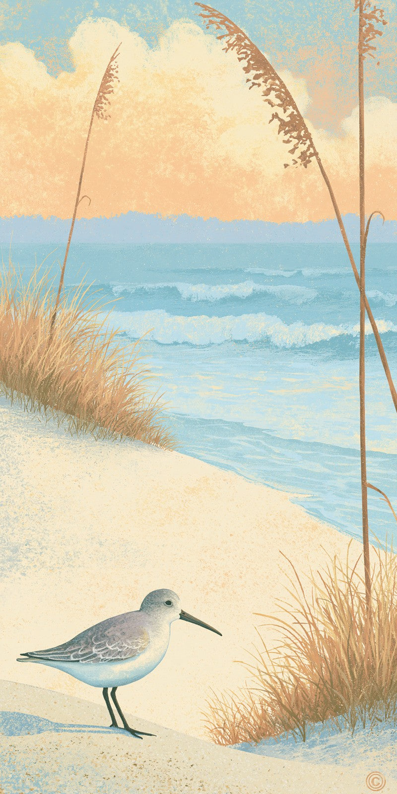 She's Choosing Massachusetts Earrings | Sandpiper Sea Oats | SC21B12