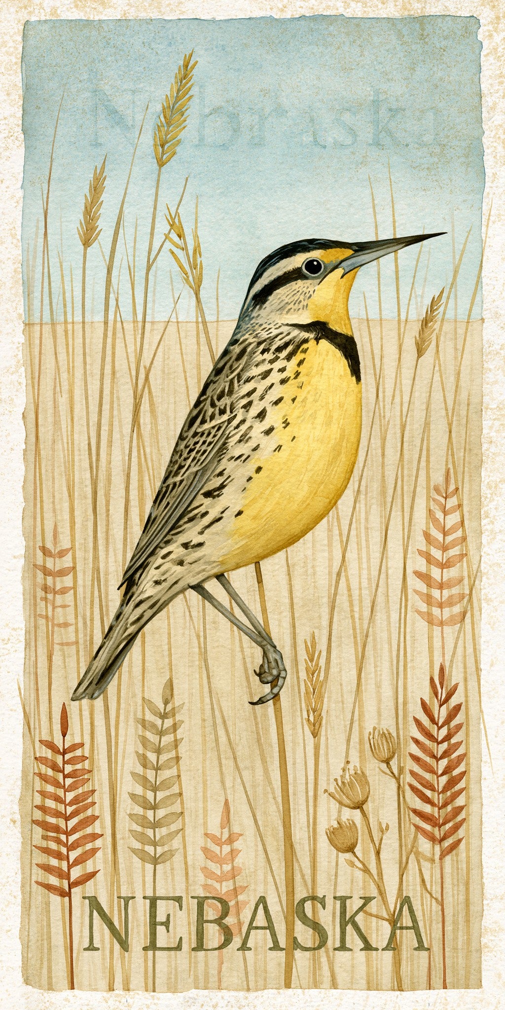 Meadowlark — full design art