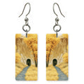 Bandelier National Monument Autumn — She's Choosing earrings, shown as a pair