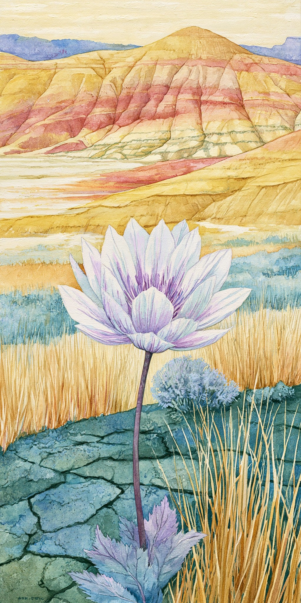 Painted Hills Wildflower Bitterroot — full design art