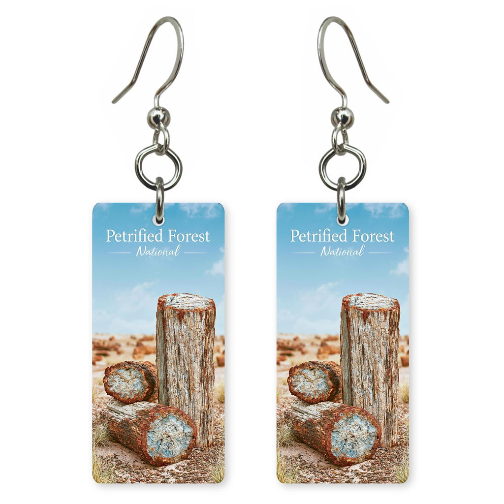 Petrified Forest National Park — She's Choosing earrings, shown as a pair