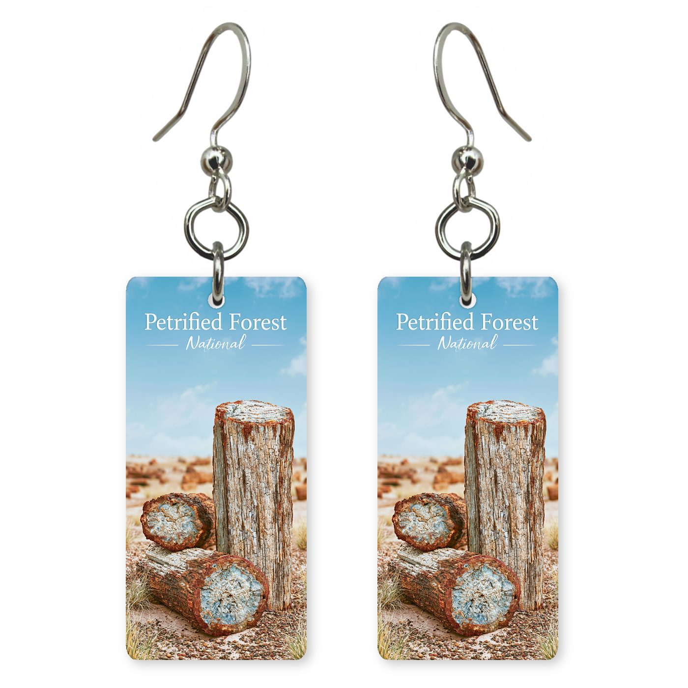 Petrified Forest National Park — She's Choosing earrings, shown as a pair