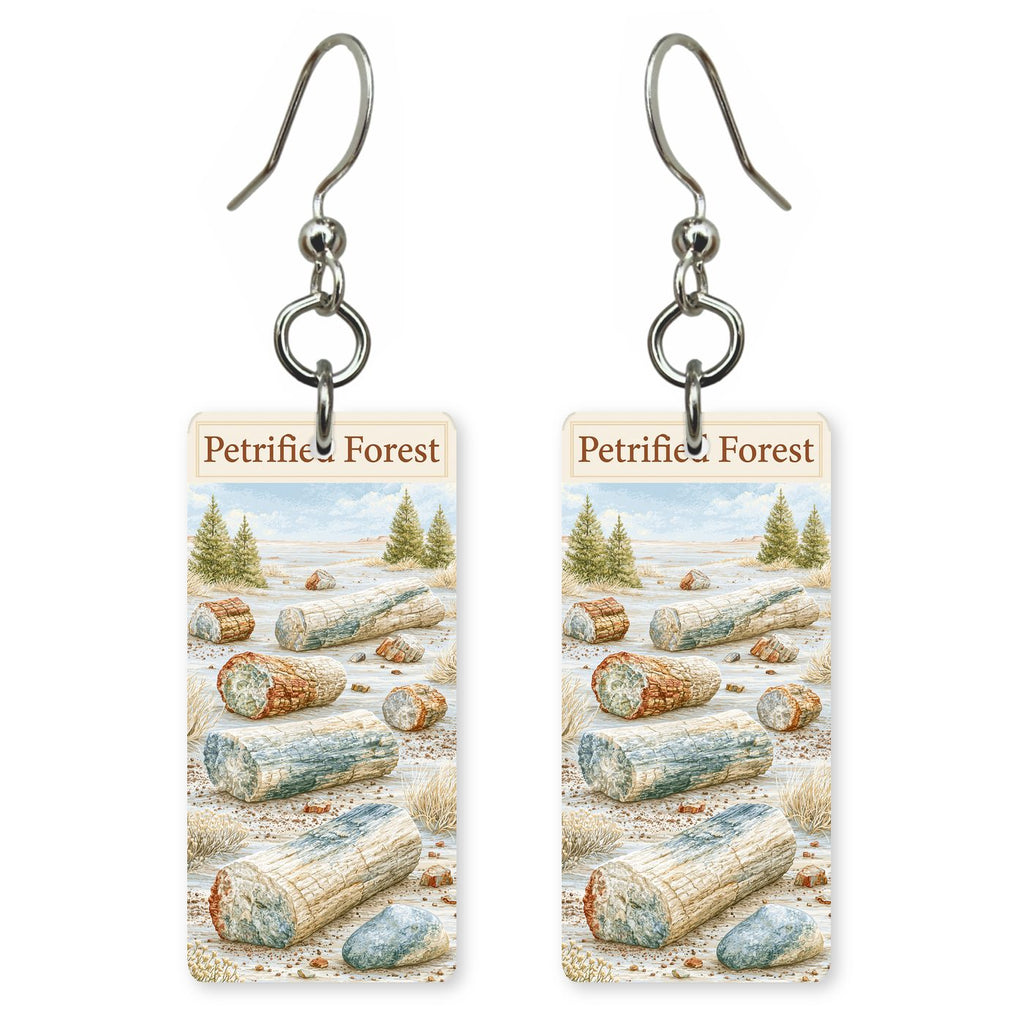 Petrified Forest National Park — She's Choosing earrings, shown as a pair