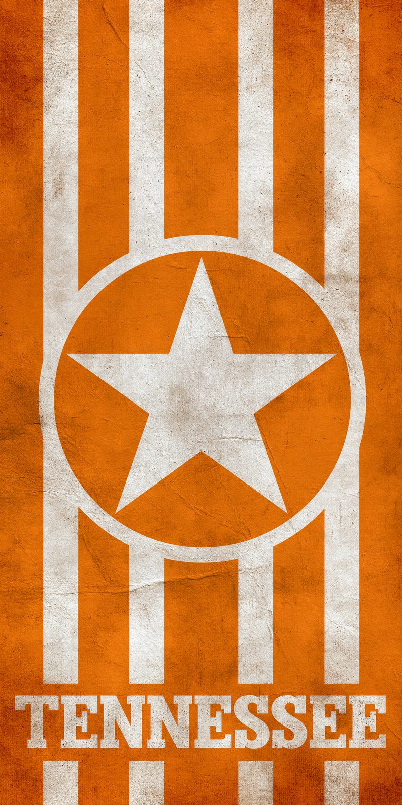 She's Choosing Tennessee Earrings | Tennessee Tri-Star Flag