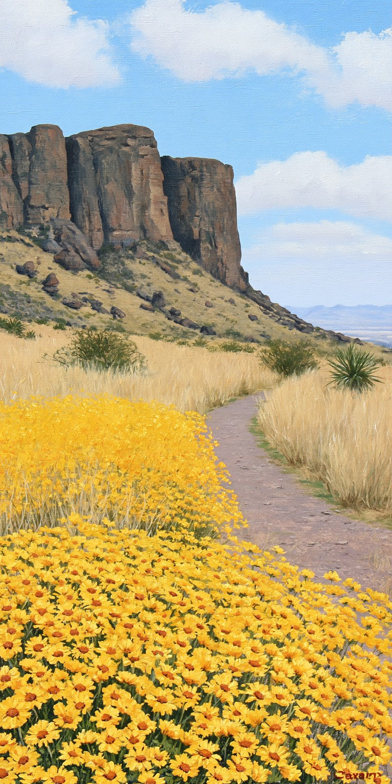 She's Choosing Texas Earrings | Mesa Wildflowers | SC43B43