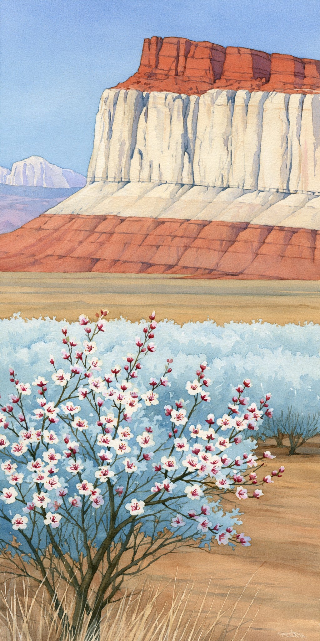 Capitol Reef Waterpocket Fold — full design art