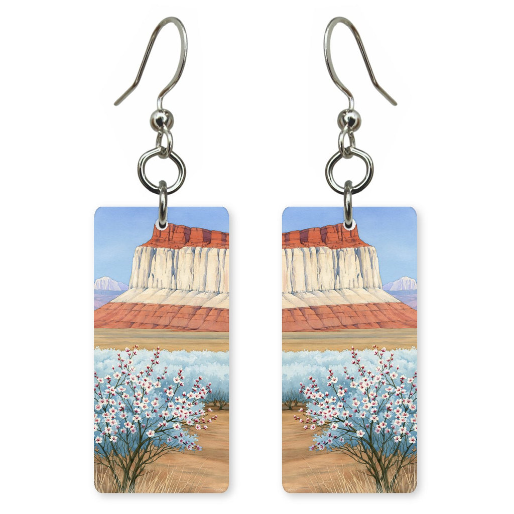 Capitol Reef Waterpocket Fold — She's Choosing earrings, shown as a pair