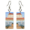 Capitol Reef Waterpocket Fold — She's Choosing earrings, shown as a pair
