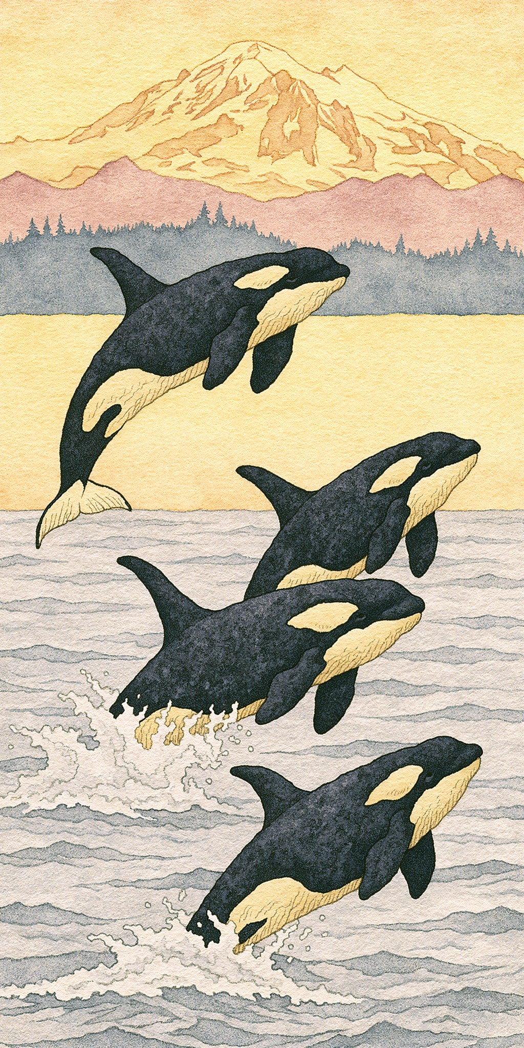 Orca Pod Breaching Golden — full design art