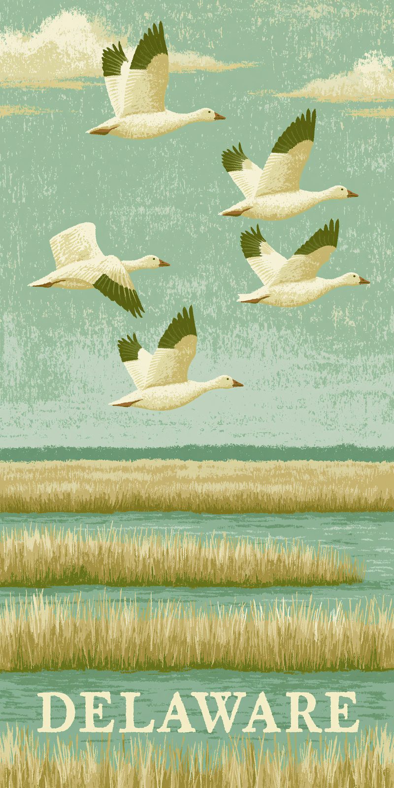She's Choosing Delaware Earrings | Snow Geese Marsh