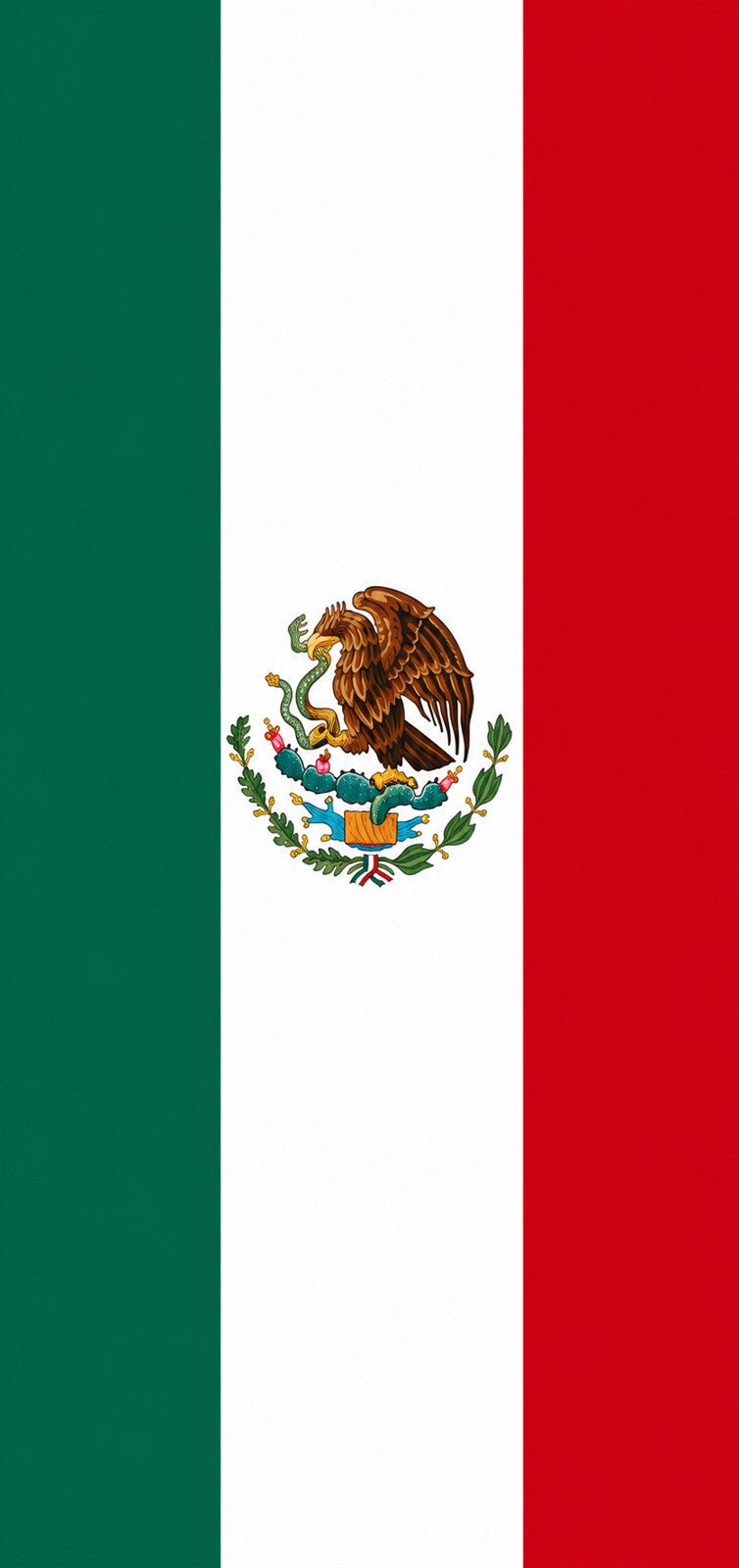 She's Choosing Country Earrings | Mexico Flag | SCC2