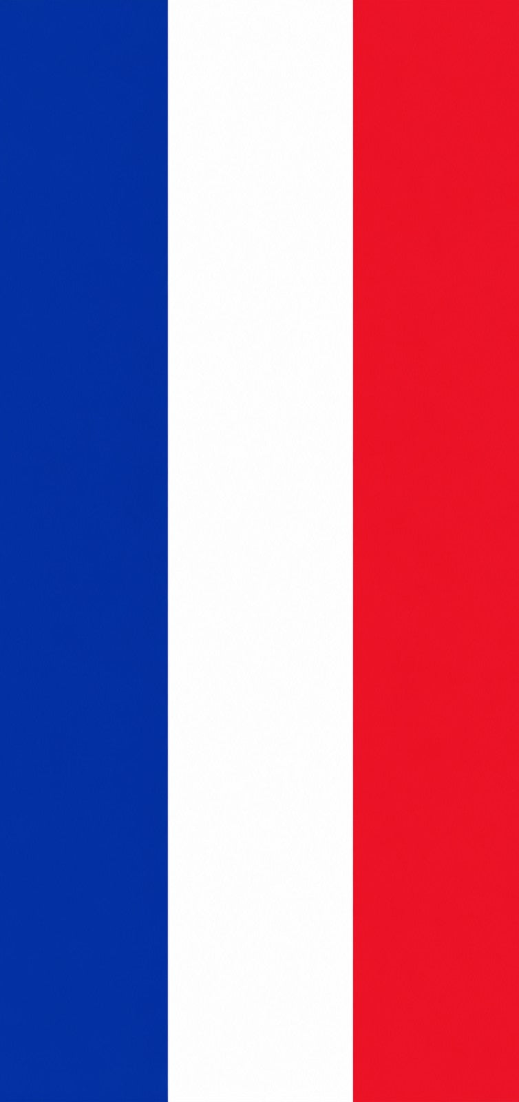 She's Choosing Country Earrings | France Flag | SCC8