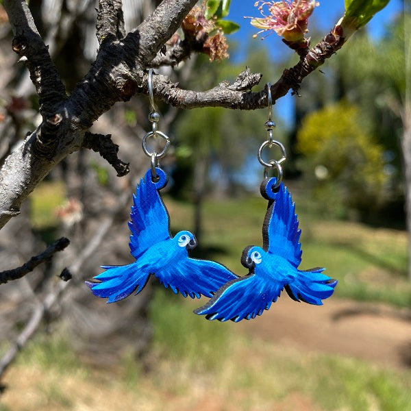 Blue Macaw Earrings #T128